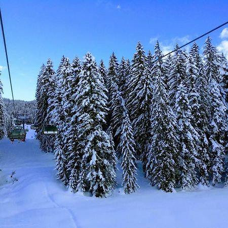 Pension Edelweiss Top 25 Gosau Zewnętrze zdjęcie
