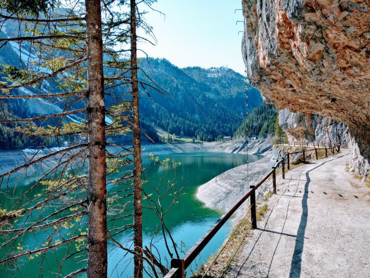 Pension Edelweiss Top 25 Gosau Zewnętrze zdjęcie