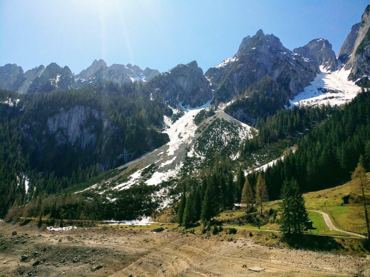 Pension Edelweiss Top 25 Gosau Zewnętrze zdjęcie