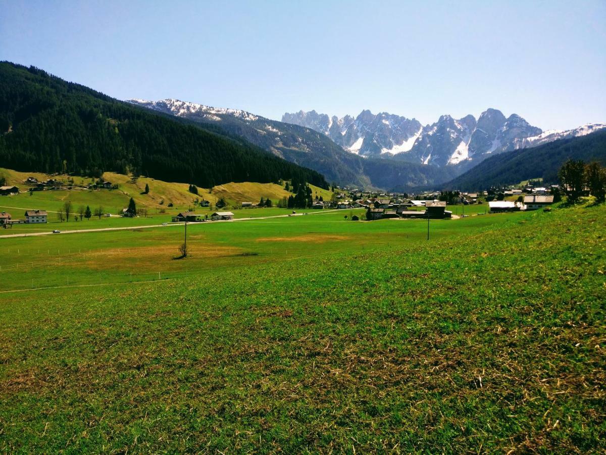 Pension Edelweiss Top 25 Gosau Zewnętrze zdjęcie