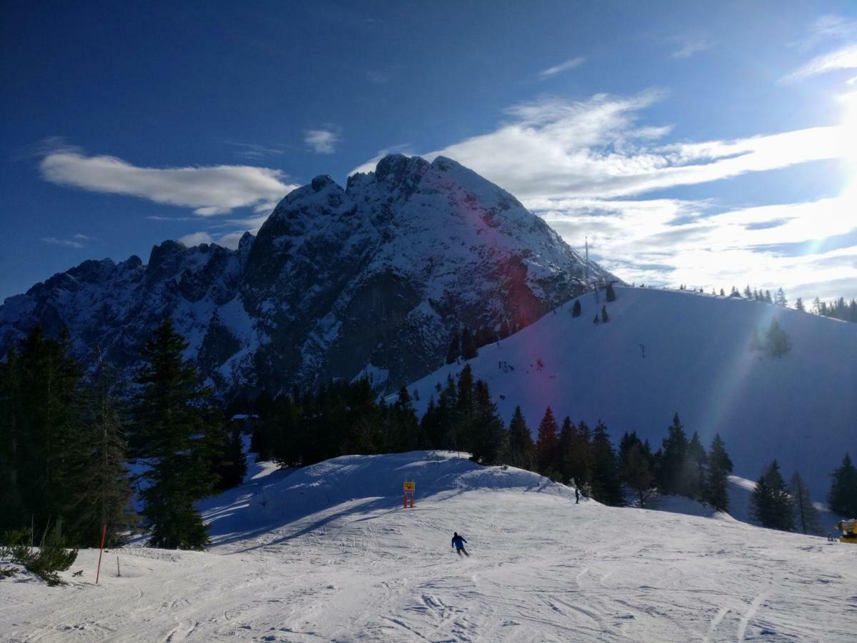 Pension Edelweiss Top 25 Gosau Zewnętrze zdjęcie