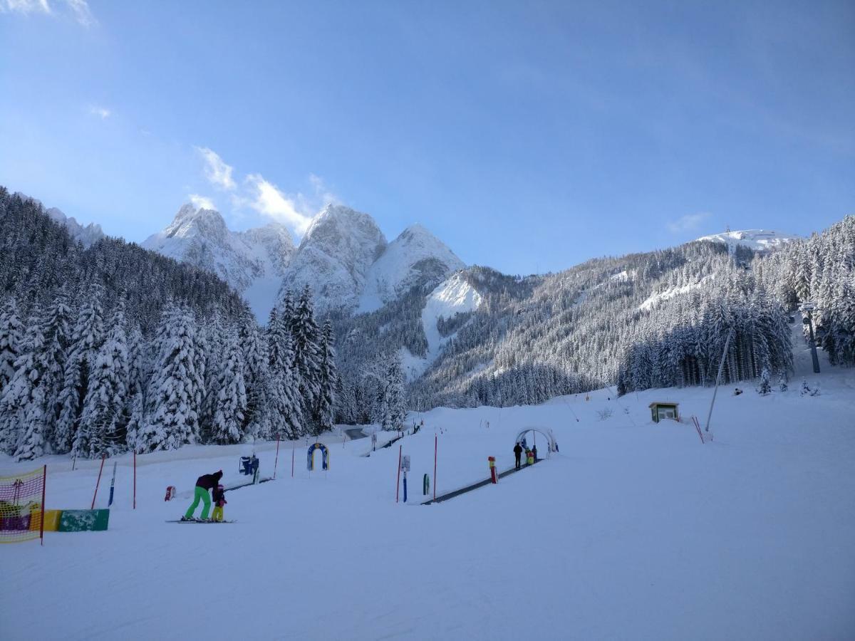 Pension Edelweiss Top 25 Gosau Zewnętrze zdjęcie