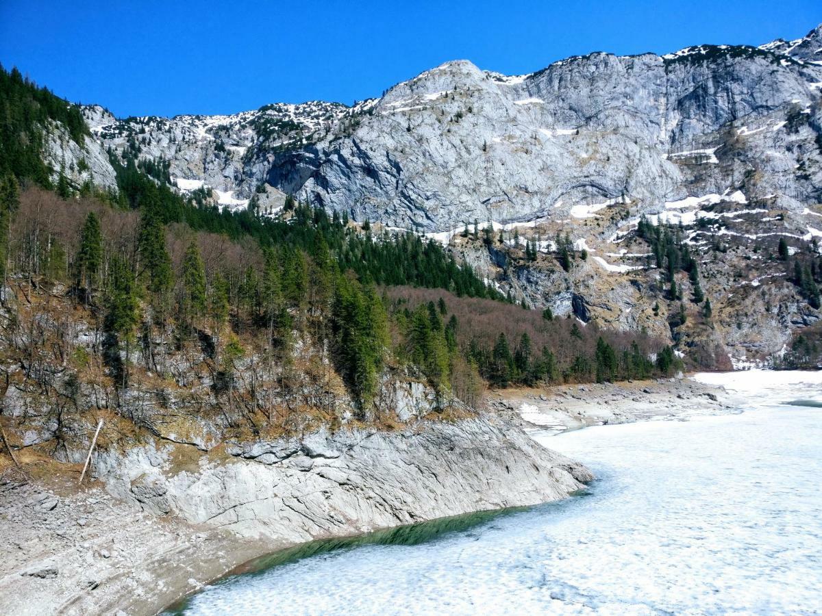 Pension Edelweiss Top 25 Gosau Zewnętrze zdjęcie