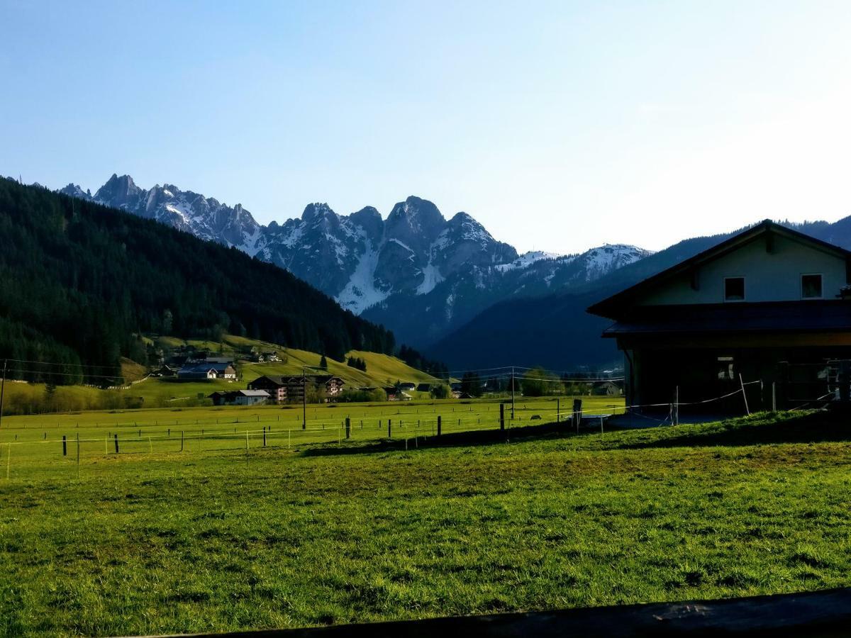 Pension Edelweiss Top 25 Gosau Zewnętrze zdjęcie