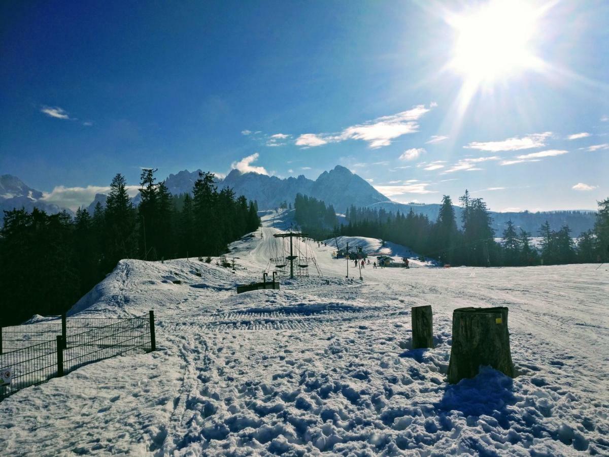 Pension Edelweiss Top 25 Gosau Zewnętrze zdjęcie