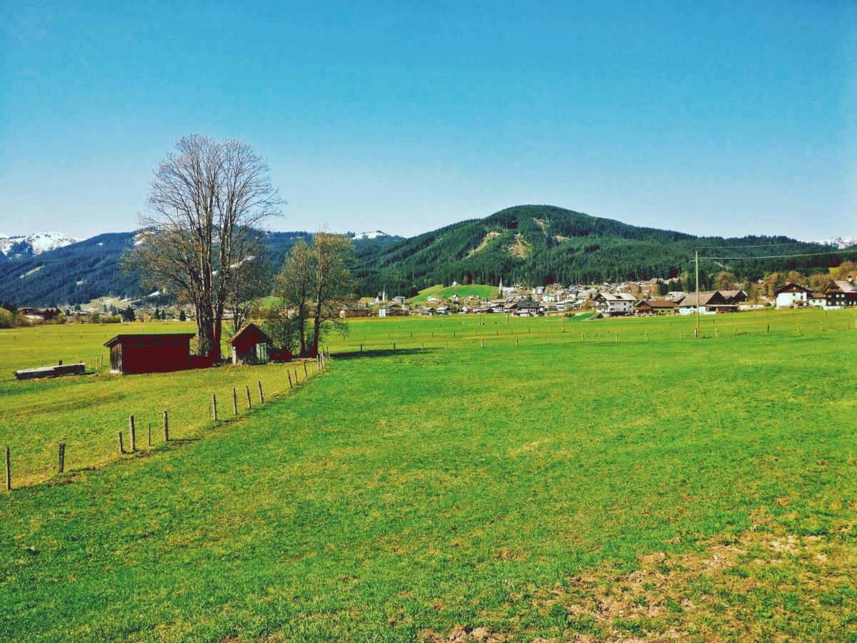 Pension Edelweiss Top 25 Gosau Zewnętrze zdjęcie