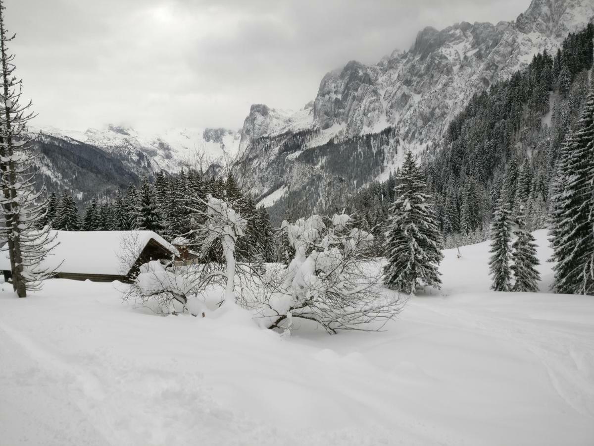 Pension Edelweiss Top 25 Gosau Zewnętrze zdjęcie