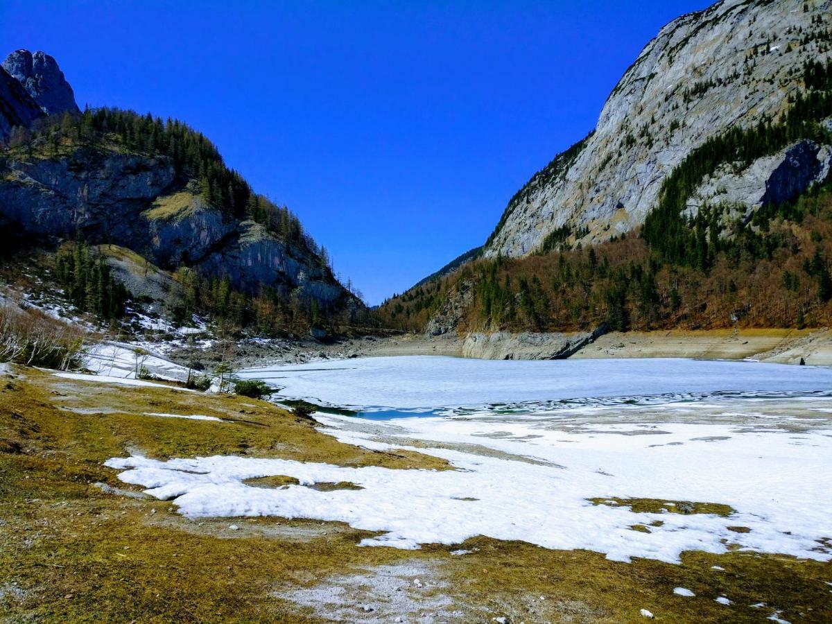 Pension Edelweiss Top 25 Gosau Zewnętrze zdjęcie
