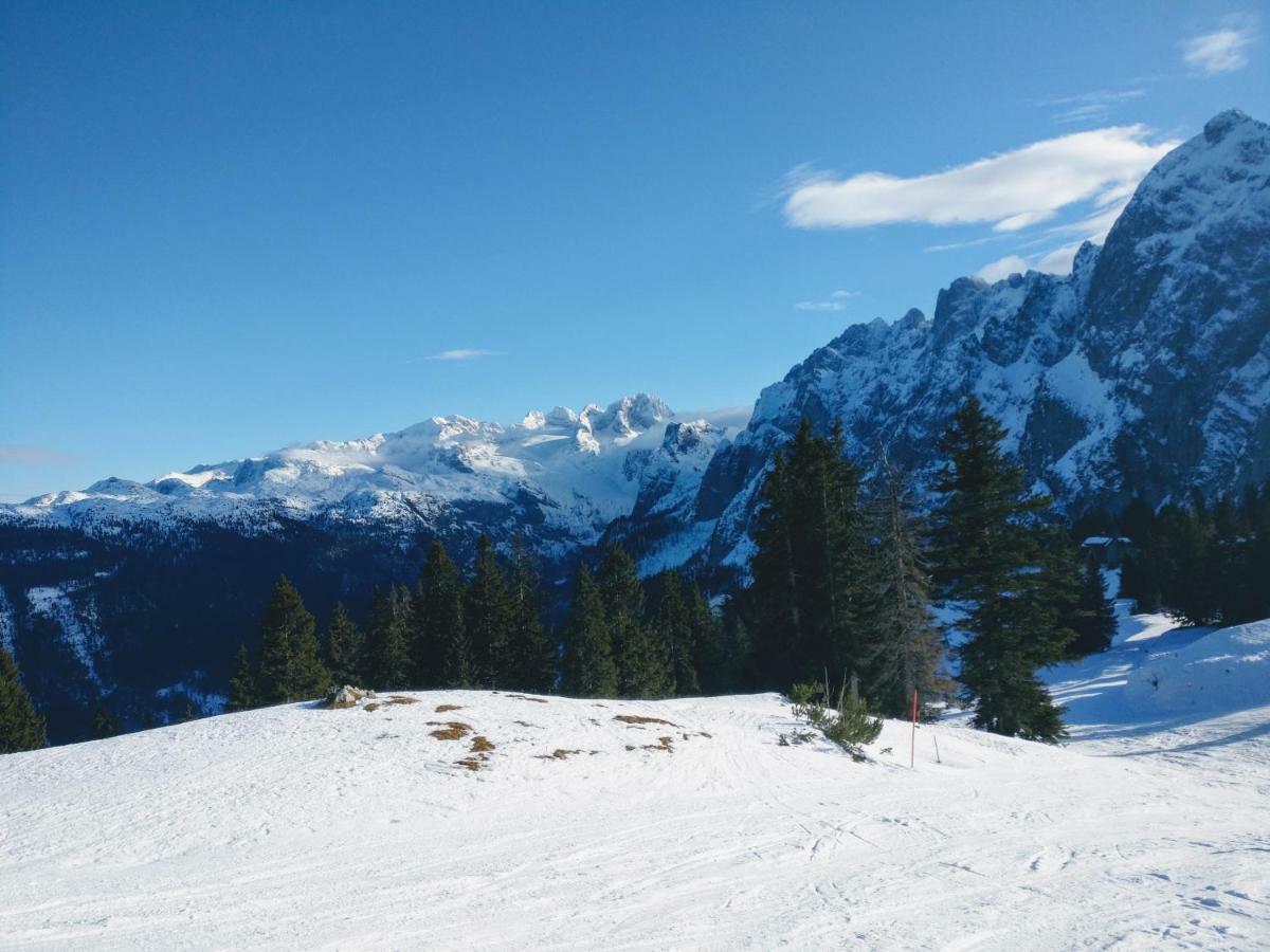Pension Edelweiss Top 25 Gosau Zewnętrze zdjęcie