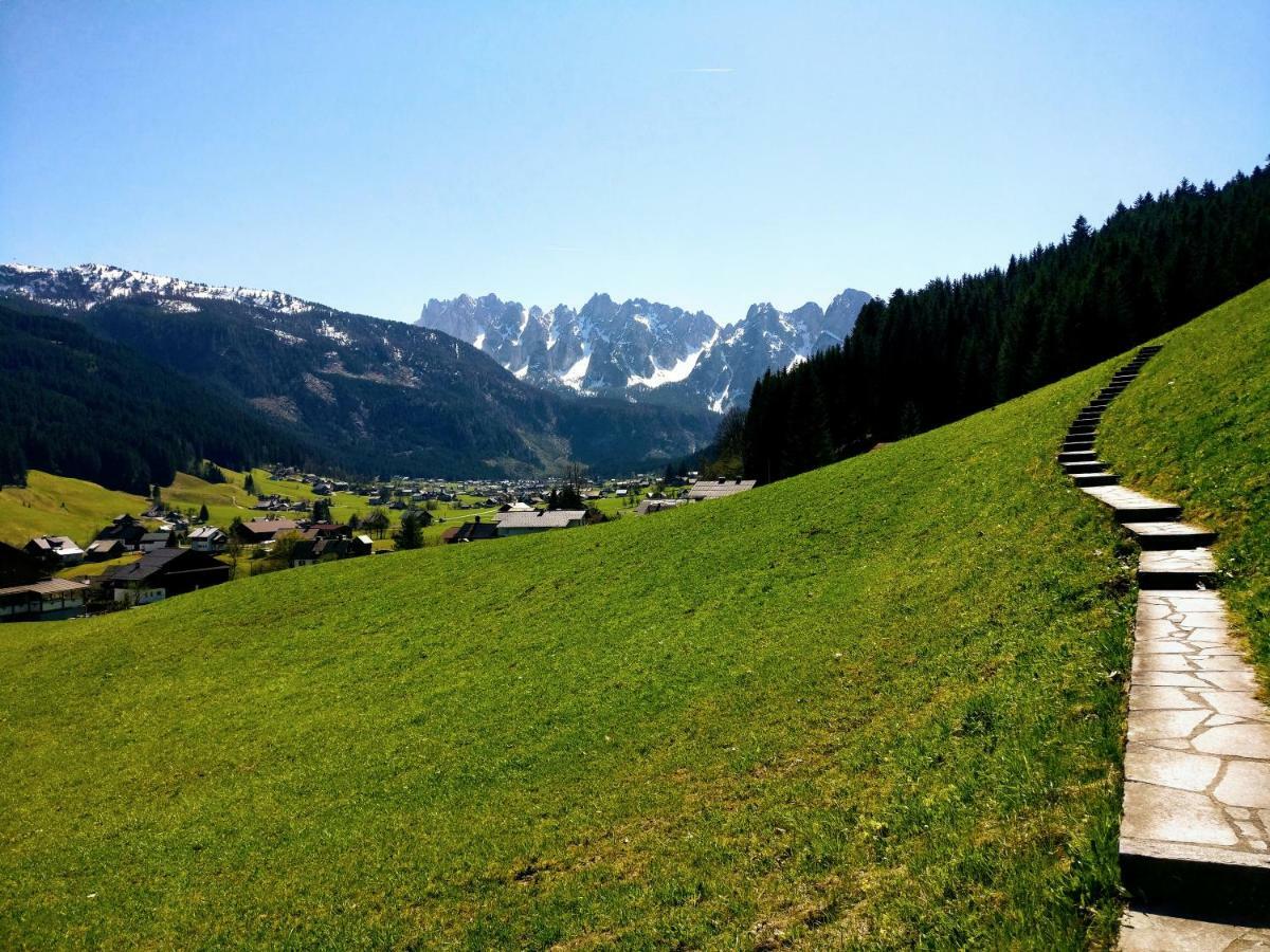 Pension Edelweiss Top 25 Gosau Zewnętrze zdjęcie