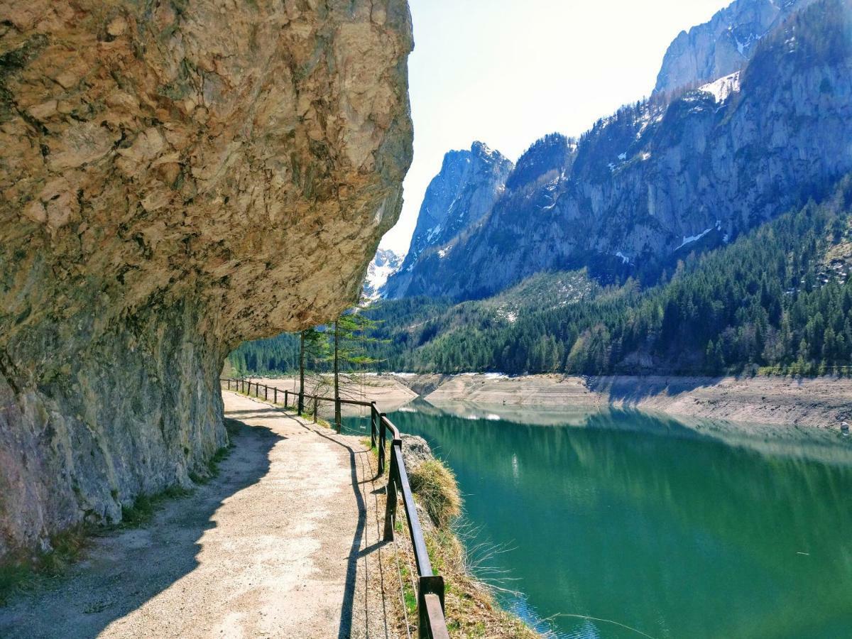Pension Edelweiss Top 25 Gosau Zewnętrze zdjęcie