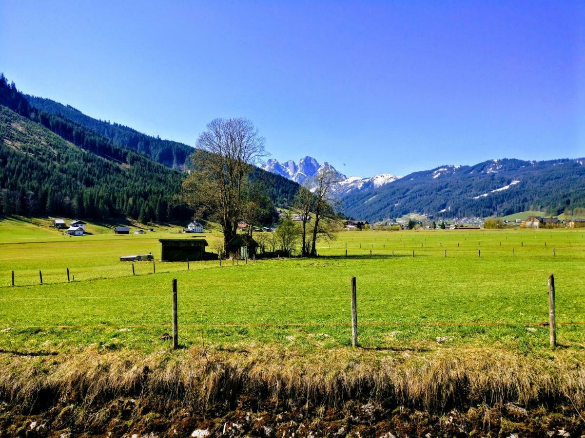 Pension Edelweiss Top 25 Gosau Zewnętrze zdjęcie