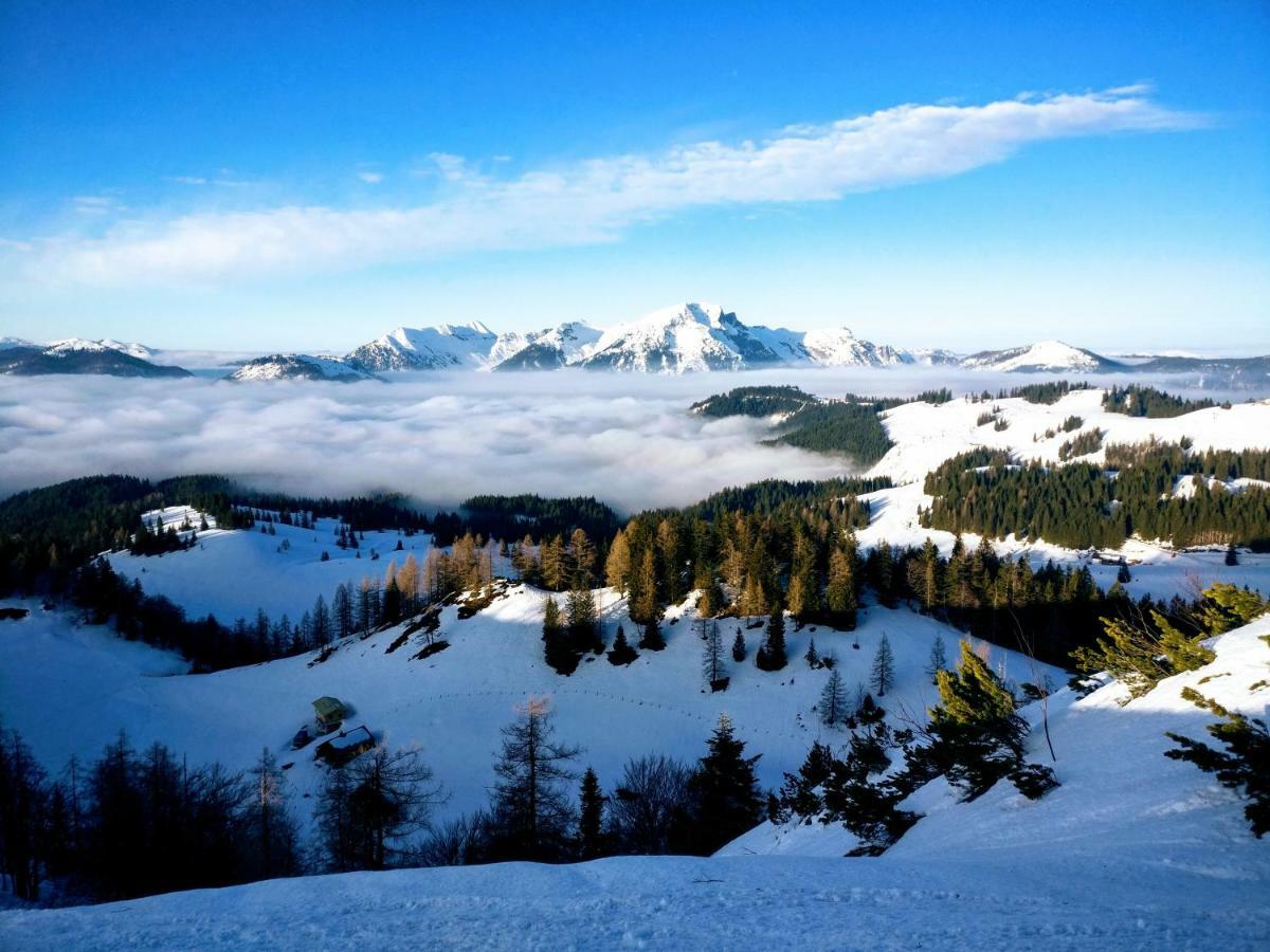 Pension Edelweiss Top 25 Gosau Zewnętrze zdjęcie