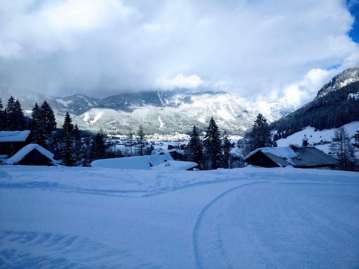 Pension Edelweiss Top 25 Gosau Zewnętrze zdjęcie