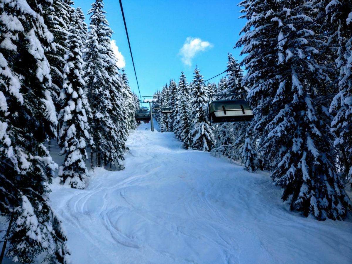 Pension Edelweiss Top 25 Gosau Zewnętrze zdjęcie
