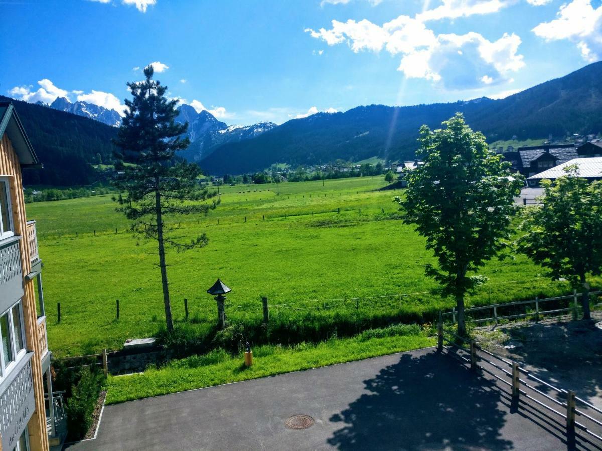 Pension Edelweiss Top 25 Gosau Zewnętrze zdjęcie