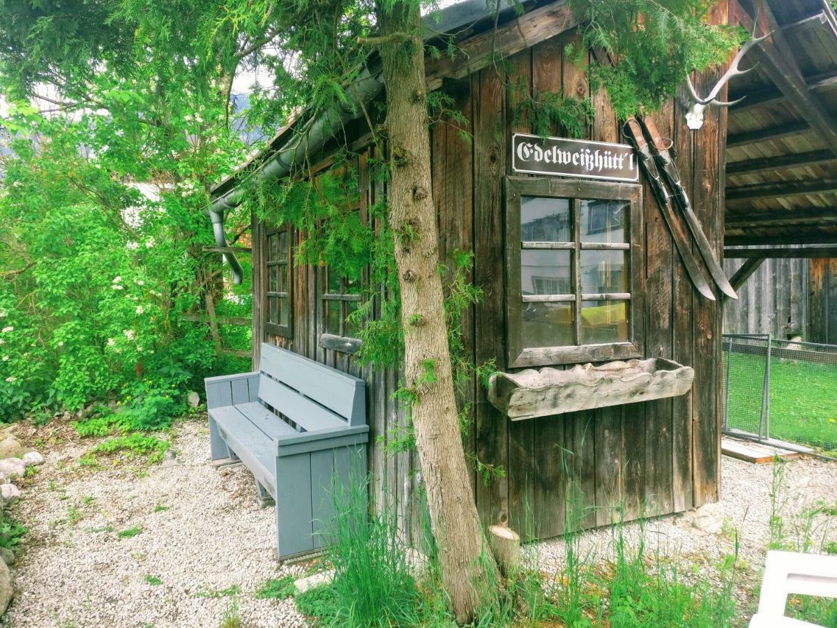 Pension Edelweiss Top 25 Gosau Zewnętrze zdjęcie